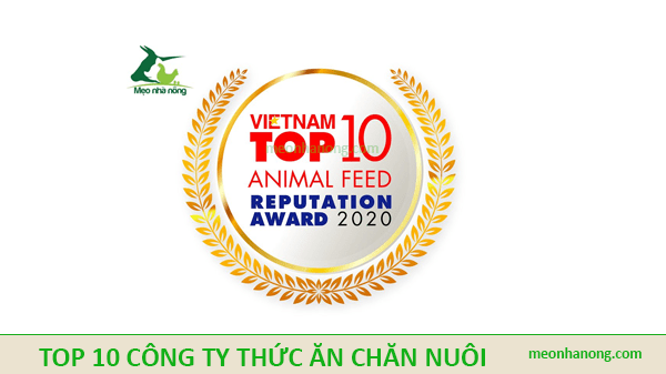 TOP-10-CONG-TY-THUC-AN-CHAN-NUOI